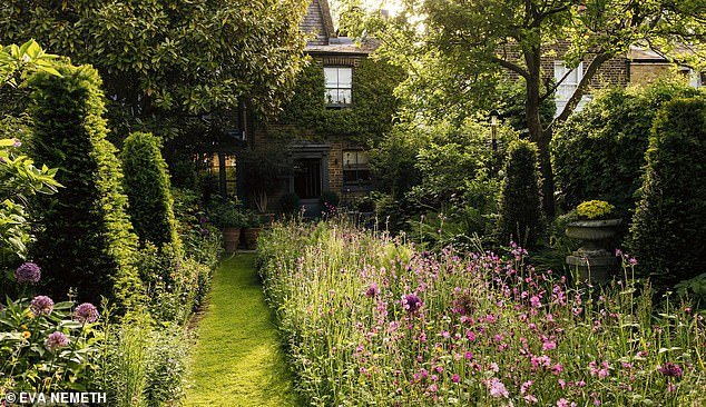 Taman Taman London Barat London Butter. Allium 'Purple Sensation' dan 'Purple Rain', Red Campion, Sorrel, Knapweed dan Vetch Buat kabut merah muda dan ungu muda.