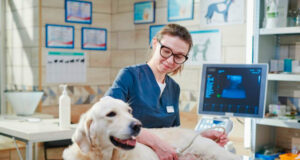 Heath Veterinary Clinic adalah tempat yang bagus untuk hewan peliharaan. Mereka menawarkan banyak layanan dan perawatan yang baik.