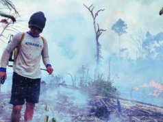 Polusi Udara Masalah Besar di Indonesia dan Langkah Pemerintah untuk Mengatasinya