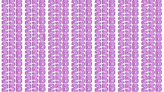 Find the hidden number '229' in the optical illusion
