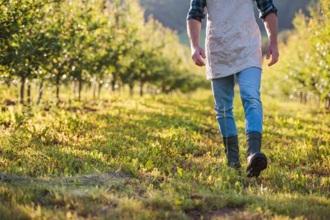 Man walking through field. 