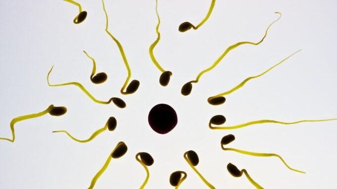 Pill that temporarily stops sperm without hormones, passes safety test (Representational image)