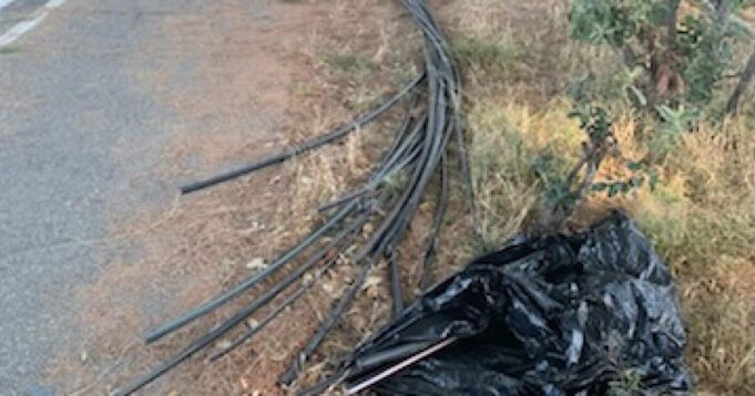 Piagam mengatakan vandalisme van nuys harus dipertimbangkan 'terorisme domestik'
