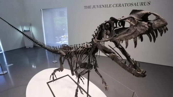 Largest piece of mars and young dinosaur fetch millions at New York auction.
