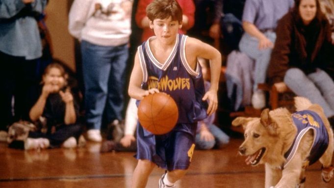 Air Bud Returns Dimulai Pencarian Bintang Anjing Nasional
