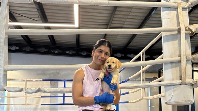 Perjalanan Nikhat Zareen dari Paris Olympics Heartbreak - Sensasi tinju Hyderabad yang ingin memulai segar
