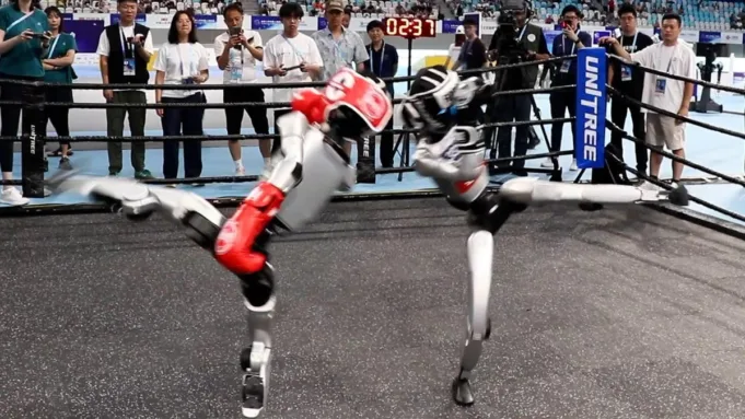 Kickboxing Robot