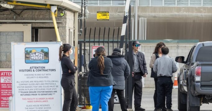 Raid Ice At Mayor Pot Operation Clouds Gambar untuk Ganja Hukum di California
