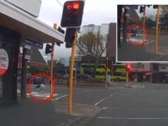 Kejutan saat singa raksasa melarikan diri dari truk yang melaju dengan kecepatan 60mph & naik ke ATAP sebelum berhenti di Afrika Selatan