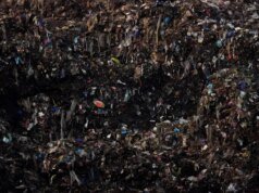 Makanan yang Anda buang menghabiskan banyak biaya dan mengeluarkan banyak polusi. Kami punya tip tentang cara menguranginya