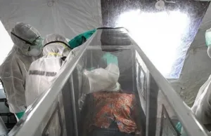 Pasien Ebola terakhir dipulangkan dari pusat perawatan di Kongo: WHO