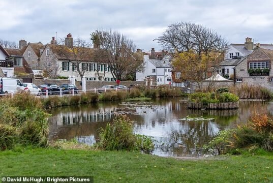 Dewan Woke dituduh ‘menurunkan’ salah satu desa tercantik di Inggris karena rencana membeli rumah-rumah kuno untuk perumahan sementara