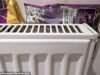 Warga Inggris diminta untuk memasang paket CRISP di belakang radiator mereka pada musim gugur ini – namun apakah ini benar-benar berhasil?