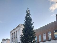 Kemarahan atas pohon Natal ‘Temu’ yang tipis di kota tepi pantai yang tampak seperti terkena pukulan keras’