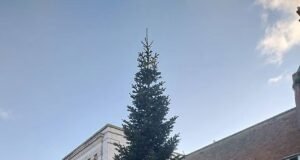 Kemarahan atas pohon Natal ‘Temu’ yang tipis di kota tepi pantai yang tampak seperti terkena pukulan keras’