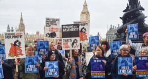 Kondisi kehidupan penguin di akuarium London memicu tanggapan dingin dari para pengunjuk rasa