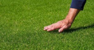 Pemegang tiket Piala Dunia bisa mendapatkan janji temu visa prioritas