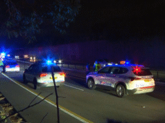 Pengendara sepeda motor, 19, tewas dalam kecelakaan kecepatan tinggi saat pengejaran polisi di Zetland, Sydney