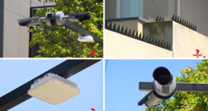 Ayah Melbourne menghabiskan $ 100 k untuk mengubah rumahnya menjadi benteng, sekarang dewan mencoba merobohkannya