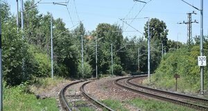 Perjudian di asrama memakan korban tiga nyawa tahun ini: 52 denda dikenakan selama pemeriksaan polisi