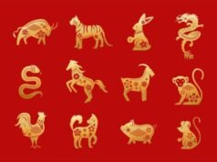 6 Shio yang Hoki pada 15 November 2025, Tikus Paling Beruntung!