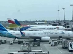 Alasan Merger Garuda Indonesia-Pelita Air, Danantara: Biar Tidak Saling Kanibal