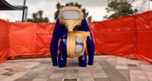 Vandalisme ‘Blue Ball’: Remaja yang didakwa atas lelucon mata googly di Gunung Gambier meminta bantuan untuk membayar biaya hukum