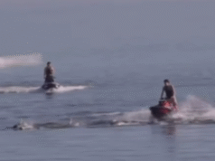 Tiga pengendara jet ski didakwa setelah diduga mengemudi melewati kawanan lumba-lumba di lepas pantai Adelaide