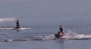 Tiga pengendara jet ski didakwa setelah diduga mengemudi melewati kawanan lumba-lumba di lepas pantai Adelaide