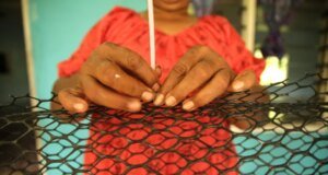 Para petani tiram berjuang melawan perubahan iklim di laut Fiji yang bermasalah|Wanita