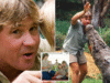 Warisan Steve Irwin tetap hidup dalam keluarga hampir dua dekade kemudian