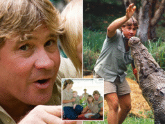Warisan Steve Irwin tetap hidup dalam keluarga hampir dua dekade kemudian