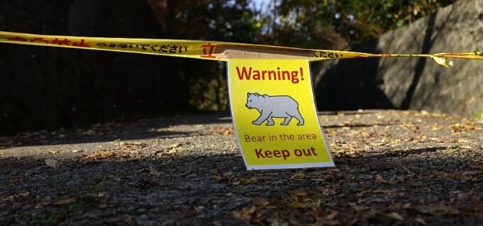 bear-killed-after-entering-mall-in-japans-akita-prefecture-1763321720722.jpg