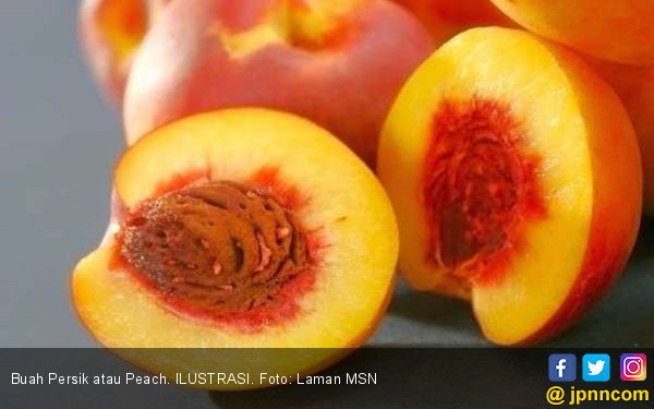 buah-persik-atau-peach-ilustrasi-foto-laman-msn.jpg