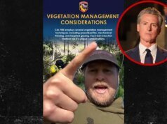 Spencer Pratt Merobek Gavin Newsom karena Kebakaran Palisades, Mengatakan Pengacara Itu Bodoh atau Pembohong