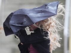 Hujan deras akibat Badai Claudia mengancam hari kedua pertemuan Cheltenham