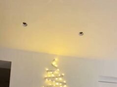 Pohon Natal yang ramah lingkungan dan fungsional yang disukai karena harganya yang murah