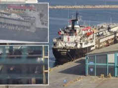 3.000 sapi terjebak di laut selama 58 HARI di kapal yang bau, penuh mayat & dipenuhi lalat yang tidak dapat berlabuh karena pita merah