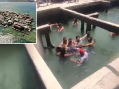 Bagaimana hiu putih besar ‘Rosie’ setinggi 16 kaki dibiarkan membusuk di dalam tangki formaldehida saat pemiliknya membuka tutup ‘hewan peliharaan’ yang mati di halaman belakang