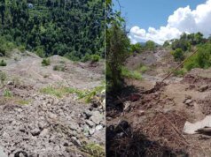 India ingin COP 30 fokus pada adaptasi iklim, tetapi menghabiskan dananya sendiri|Berita Krisis Iklim