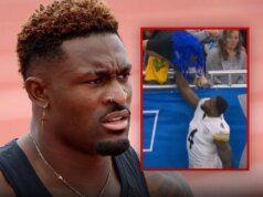 Steelers Pass Receiver DK Metcalf Melemparkan Pukulan ke Kipas, di Video