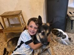 Saya berharap saya bisa dibawa juga, kata ibu dari anak laki-laki Inggris, 13 tahun, yang ditikam sampai mati oleh mantan pasangannya di Portugal