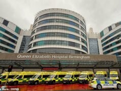 Alat AI membantu NHS mengurangi waktu tunggu di A&E musim dingin ini