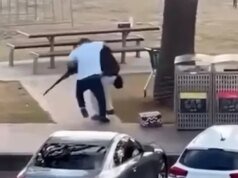 Video tampak menunjukkan momen pelaku penembakan di Pantai Bondi dilucuti