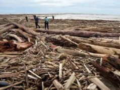 Perusahaan Sawit dan Tambang jadi Salah Satu Penyebab Banjir di Sumatera