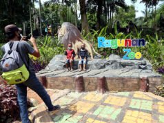 Selama Libur Nataru, Ragunan Buka Lebih Awal, Cek Harga Tiket di Sini