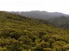 Keluarga menyelamatkan nyawa manusia dengan lingkaran panas manusia