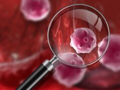 Liburan dan waktu istirahat di tahun 2026: Bagaimana merencanakan liburan Anda? Dan bagaimana perayaan Natal nanti?