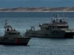 Perenang California hilang setelah kemungkinan serangan hiu