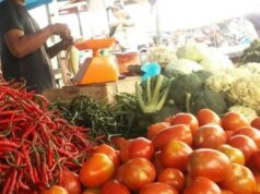 Harga Cabai, Beras, Daging Sapi, hingga Telur Kompak Turun, Cek Daftar Lengkapnya